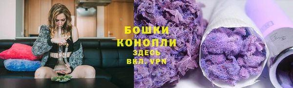 прущие грибы Бронницы