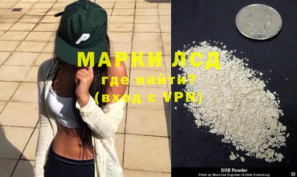 прущие грибы Бронницы