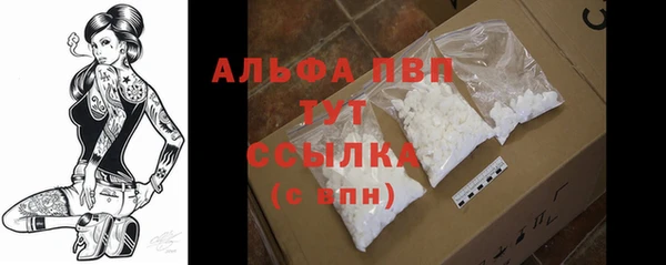 прущие грибы Бронницы