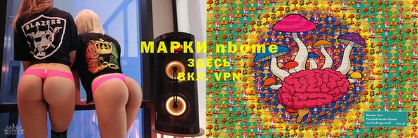 прущие грибы Бронницы