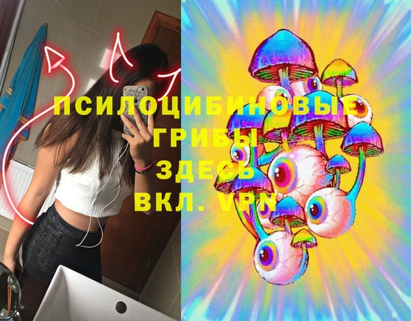 прущие грибы Бронницы