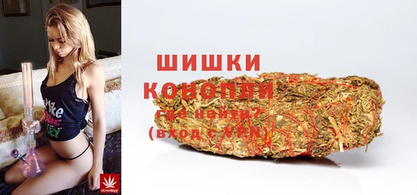 прущие грибы Бронницы